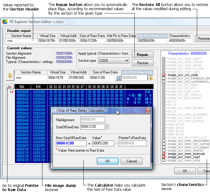 Section Editor